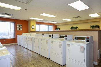 a row of washers and dryers in a laundry room